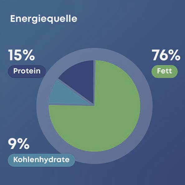 Stoffwechsel Infografik